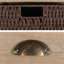 Banc de rangement avec tiroirs Maribelle-1141572429