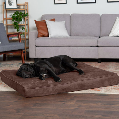 Coussin orthopédique Snuggle NAP Deluxe