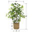 Ficus artificiel 48 po dans un panier
