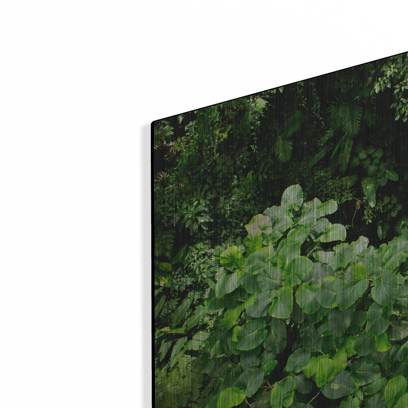 «Rainforest Canopy» par Nicklas Gustafsson, H 12 po x l 16 po