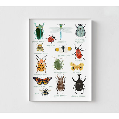 «Bugs» par Hanna Melin, décor de bureau d'entomologiste, affiche de coccinelle, affiche de chambre d'enfant mignonne, affiche de libellule