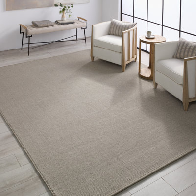 Caellan Indoor / Outdoor Rug