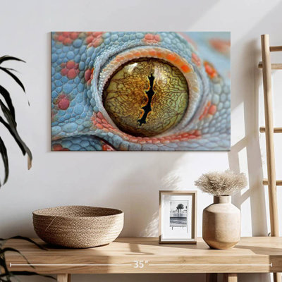 Tokes Gecko Eye