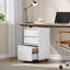 Orrin 40cm Wide 3 -Drawer Mobile File Cabinet-630480699