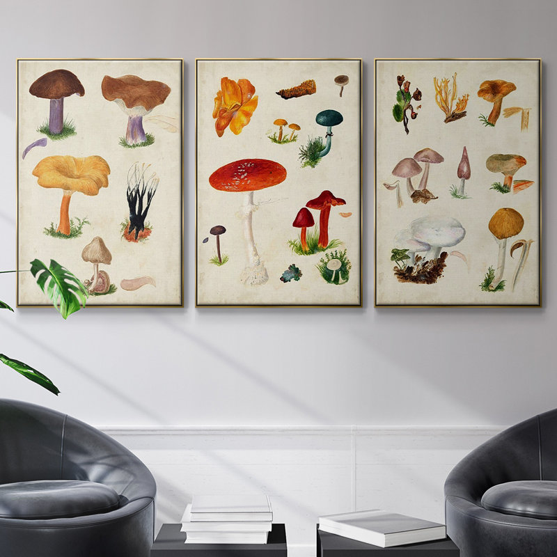 Mushroom Species VI, Or, H 24 po x l 48 po x P 2 po