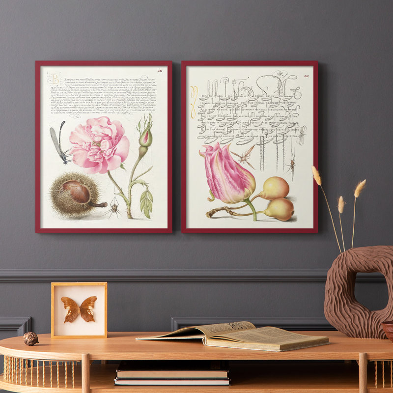 Hoefnagel Tropical Specples II - reproduction encadrée de qualité supérieure - prête à être accrochée - aucun clou requis - aucun clou requis