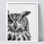 "Photographie de hibou noir et blanc" sur-98265757-98265762