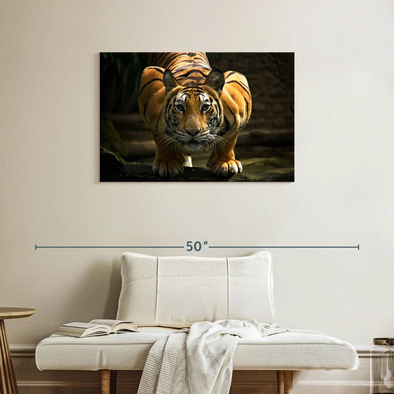 Tigre sans peur Brampt, H 24 po x l 36 po