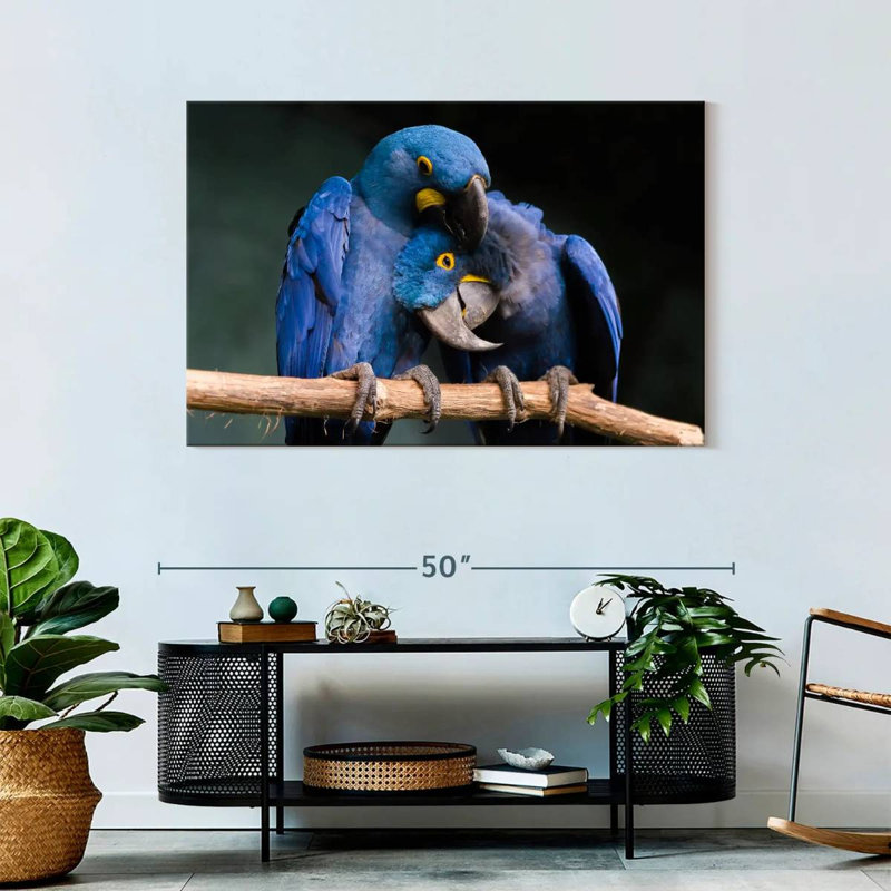 Hyacinth Blue Macaws, 30" H x 45" W