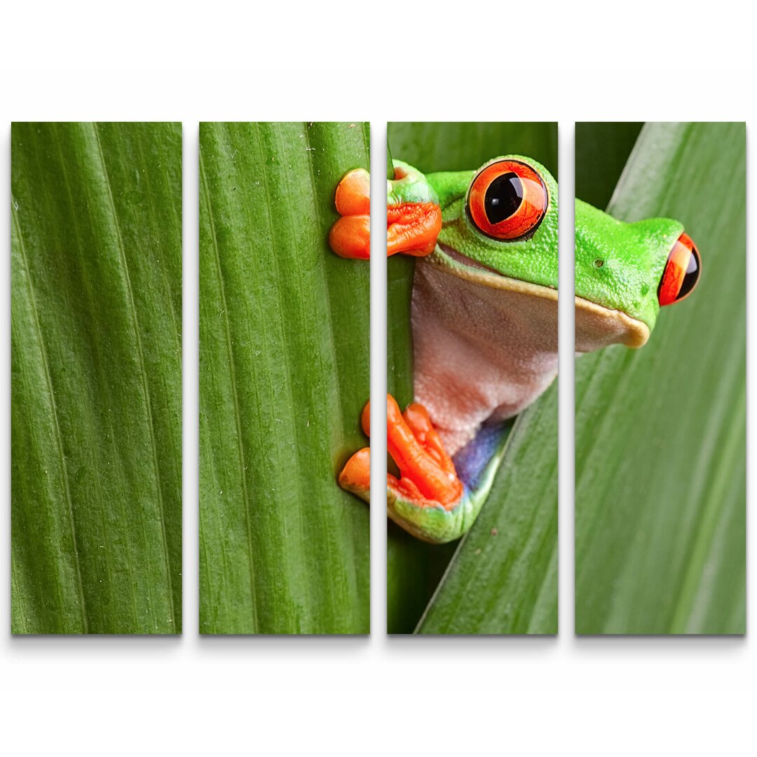 4-tlg. Leinwandbilder-Set Neugieriger Baumfrosch zwischen Blättern