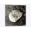 «Marble Shell Series II», reproduction sur toile-31490374-73267991-73274052