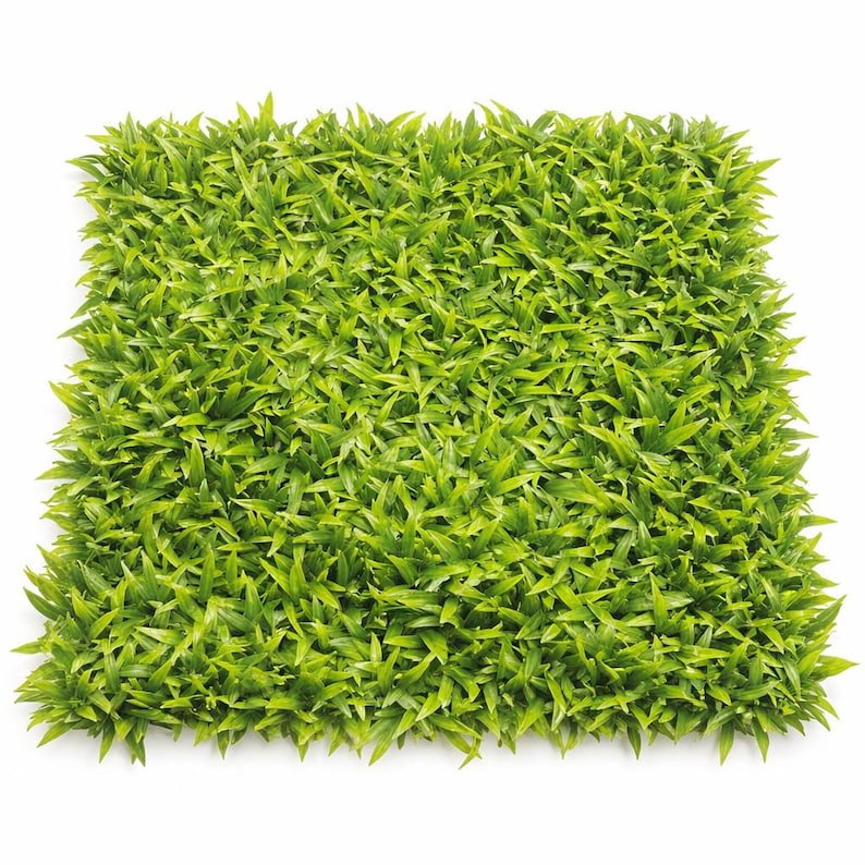 Panneau de plantes naturelles (paquet de 4), Ensemble 4 pièces