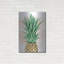 «Pineapple On Coral I» par Grace Pop «Luxe» par Grace Popp-101673554