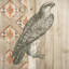 Histoire naturelle, impression sur toile tendue sud-ouest-19159666-74282177-74282182
