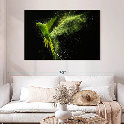 Brampt Alexandrine Parakeet