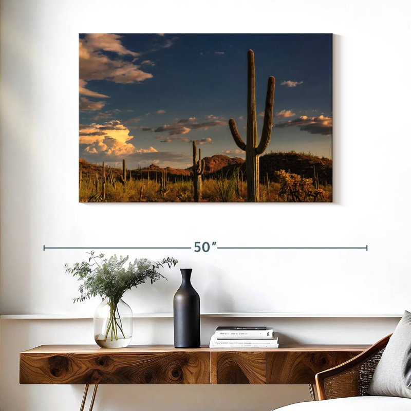 Cactus Harnek Tucson, H 26 po x l 39 po