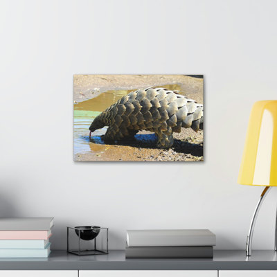Funny Pangolin Silly African Tree Pangolin Outside Wall Art