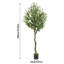180cm Faux Olive Tree Tree in Planter