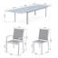 Aleki 10 - Person Patio Dining Set with Extendable Rectangular Table-1169755036