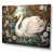 Toile tendue