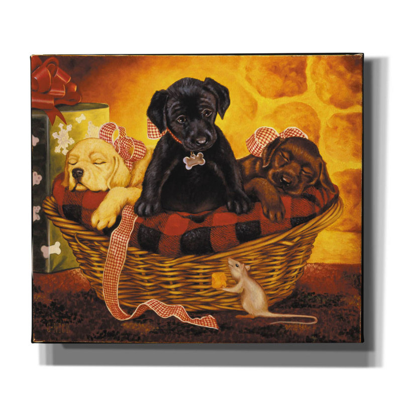 «Lab Basket» par Christopher Nick