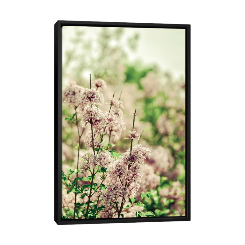 Hush My Love Lavender 1 Piece Floater Frame Wall Art on Canvas