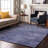 Cerrito Area Rug with Non-Slip Backing-103961251