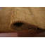 Little Animals Design Gabbeh Oriental Rug 4x6