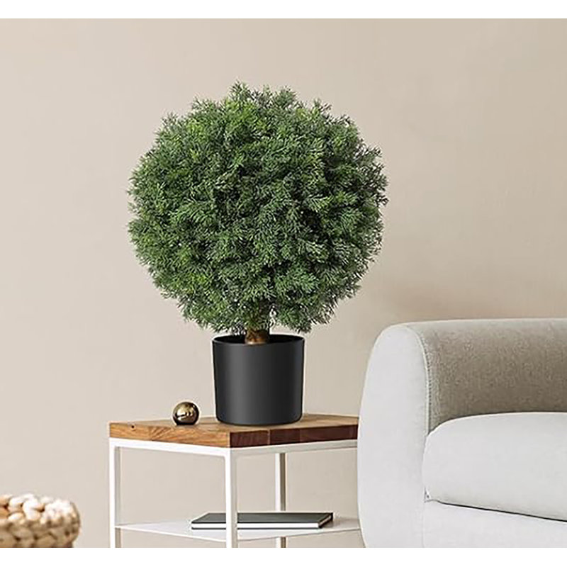 23.6cm Plant