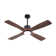 Jovaniel 54'' Ceiling Fan with LED Lights