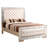 Bed Frame(Only Bed)-2028421768