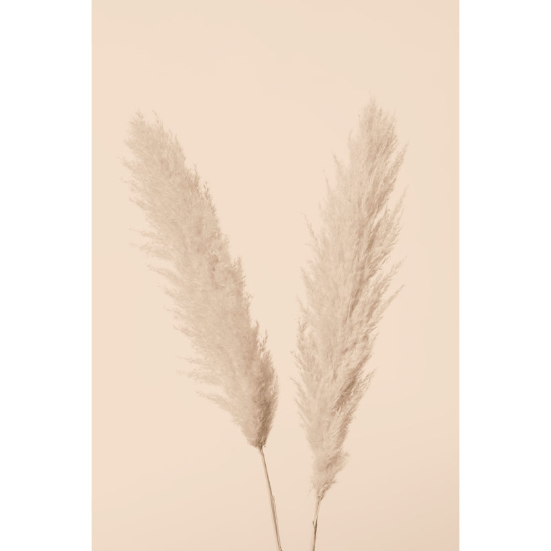 Wrapped Canvas Print, 81.28cm H x 121.92cm W