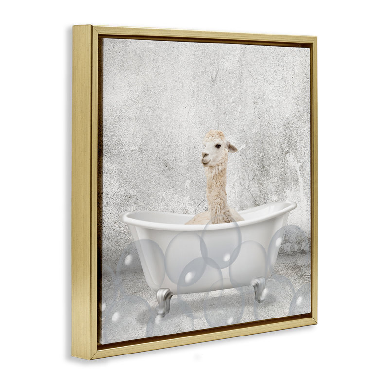 «Baby Llama Bath Time», art mural encadré sur toile flottante par Kim Allen, Cadre flottant métallique doré