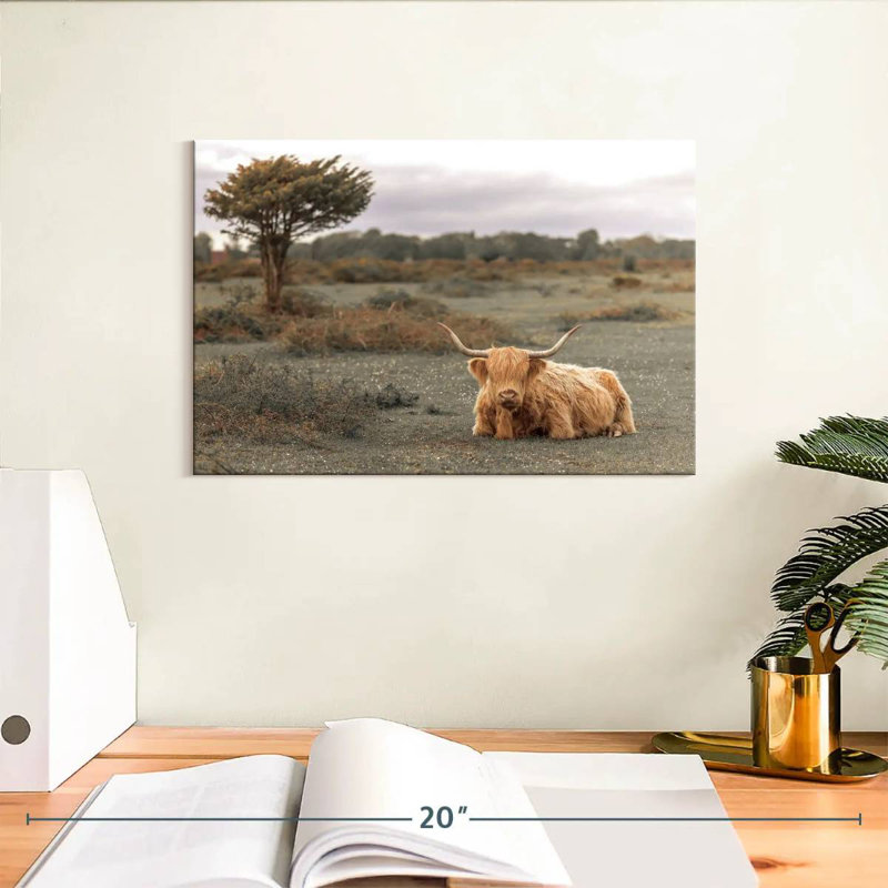 Brown Highland Cow II, 8" H x 12" W