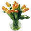 Tulip In Bubble Glass