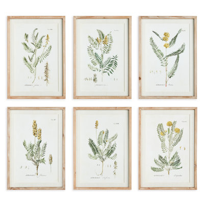 Andel Mid-Summer Blooms Prints, Set of 6