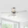 Hotwells 52'' Ceiling Fan with Light Kit