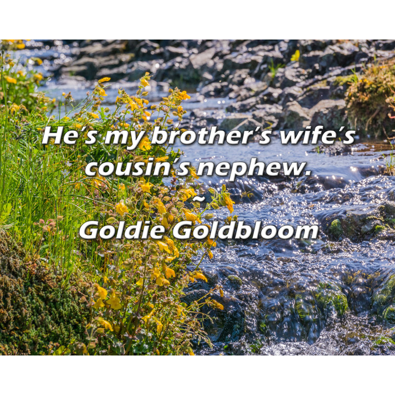 Citation de Goldie Goldbloom: il est le neveu de la cousine de mon frère., H 15 po x l 18 po