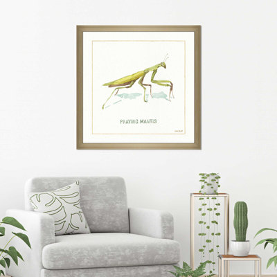 " My Greenhouse Praying Mantis "