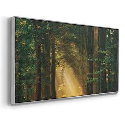 Shine On- Framed Gallery Wrapped Canvas -Ready to Hang