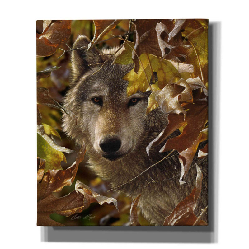 «Autumn Shadows» par Collin Bogle, art mural sur toile, H 24 po x l 20 po x P 0,75 po