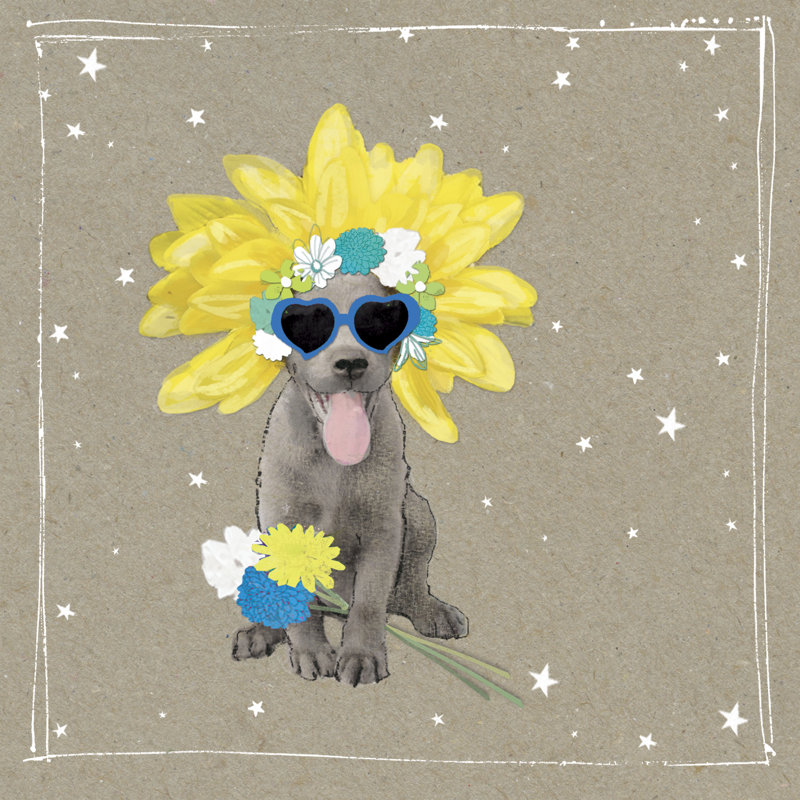 Fancypants Wacky Dogs VI - Wrapped Canvas Print, 51cm H x 51cm W