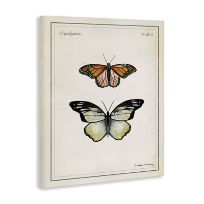«Manor House Butterflies», art mural par Danielle Murray