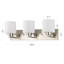 3 - Light Dimmable Vanity Light