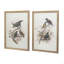 S/2 Bird Framed Print, 19.5X27.5"