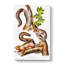 Migratory Squirrels by J.W. Audubon - Wrapped Canvas-55313121
