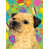 Border Terrier