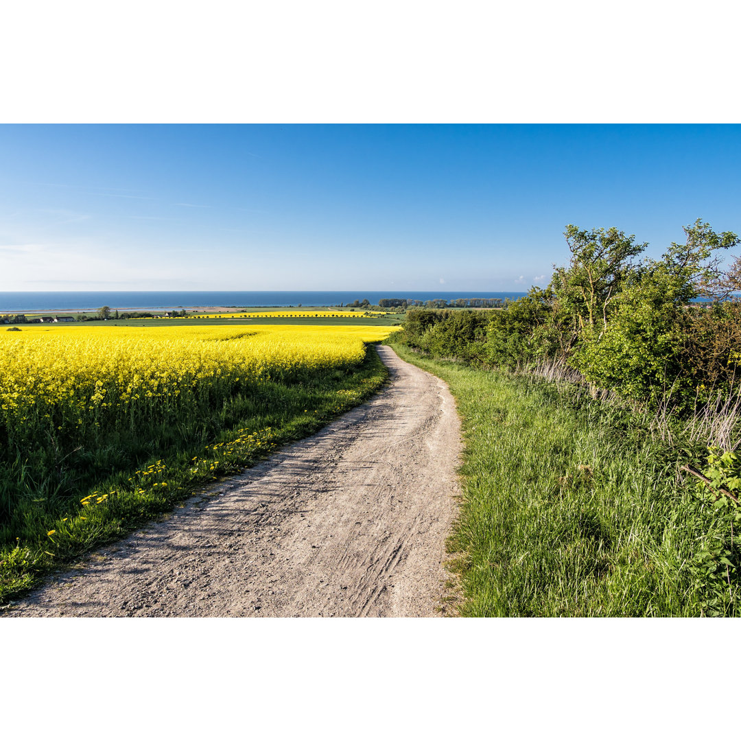 Atchison Trail To The Baltic Sea - Wrapped Canvas Print