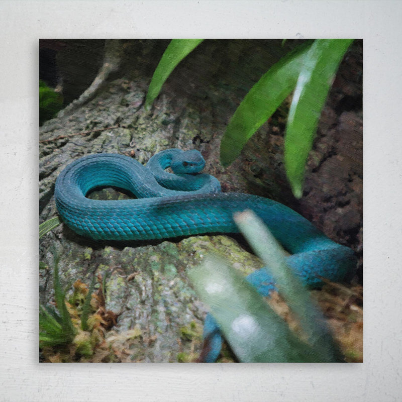«A Blue Snake On A Rock», peinture sur toile tendue, H 32 po x l 32 po