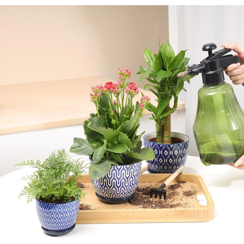 Small Flower Pots 3.5 Inch Plant Pots for Indoor Plants with Saucers